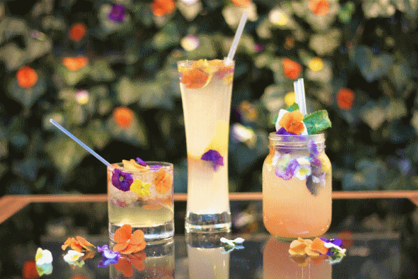 украшение коктейлей